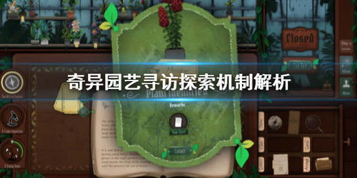 冒险宝石有什么用？探索其神奇力量与奇幻效果，尽享冒险之旅中的无限可能性！