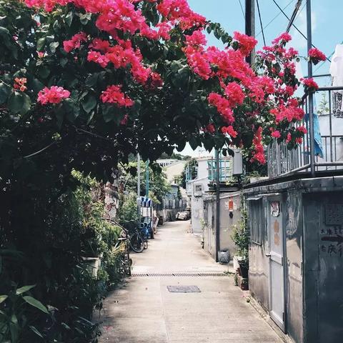 香港最快免费资料网站|探索新兴旅游胜地的魅力_过度集.1.955